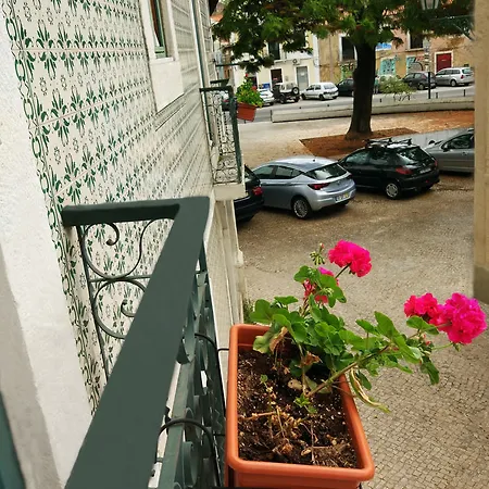 Hotel Solaris 3*